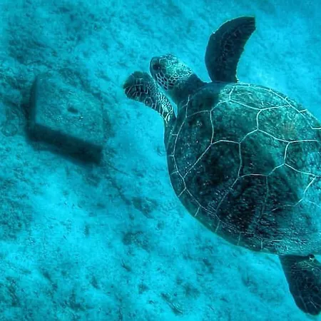 Hotel Jackey Boutique *