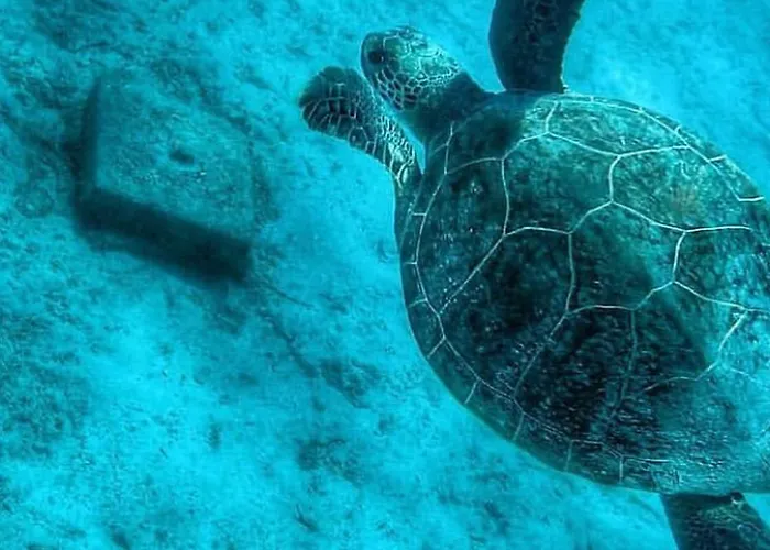 Ξενοδοχείο Jackey Boutique *